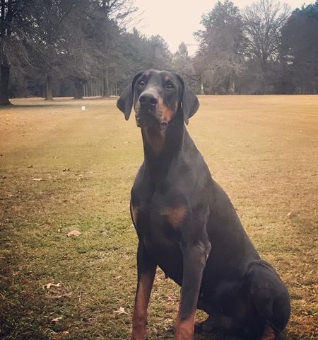 Chester