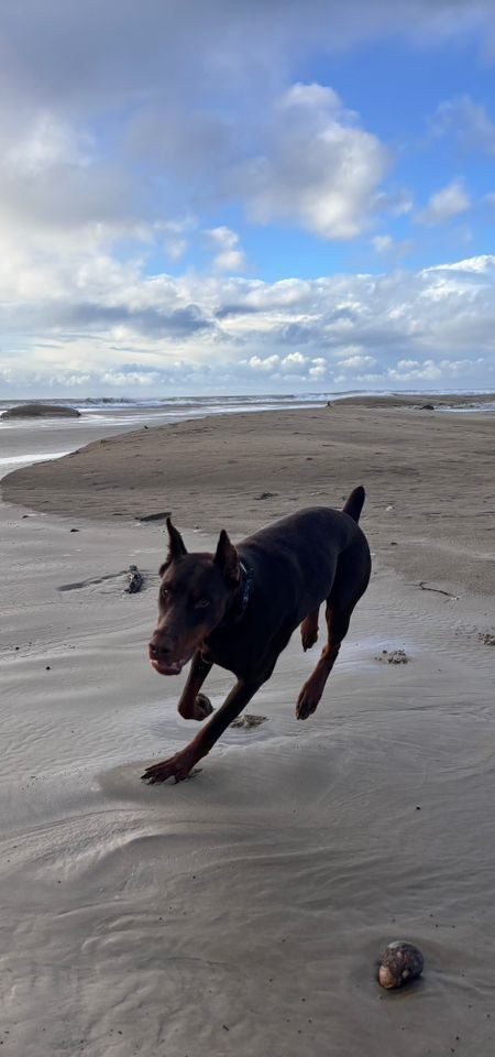 Hugo
