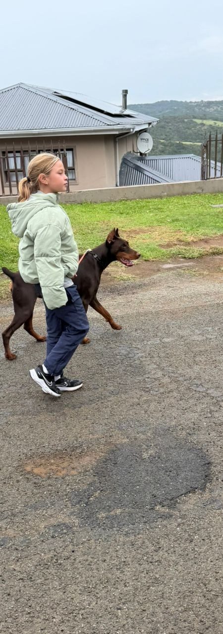 Hugo